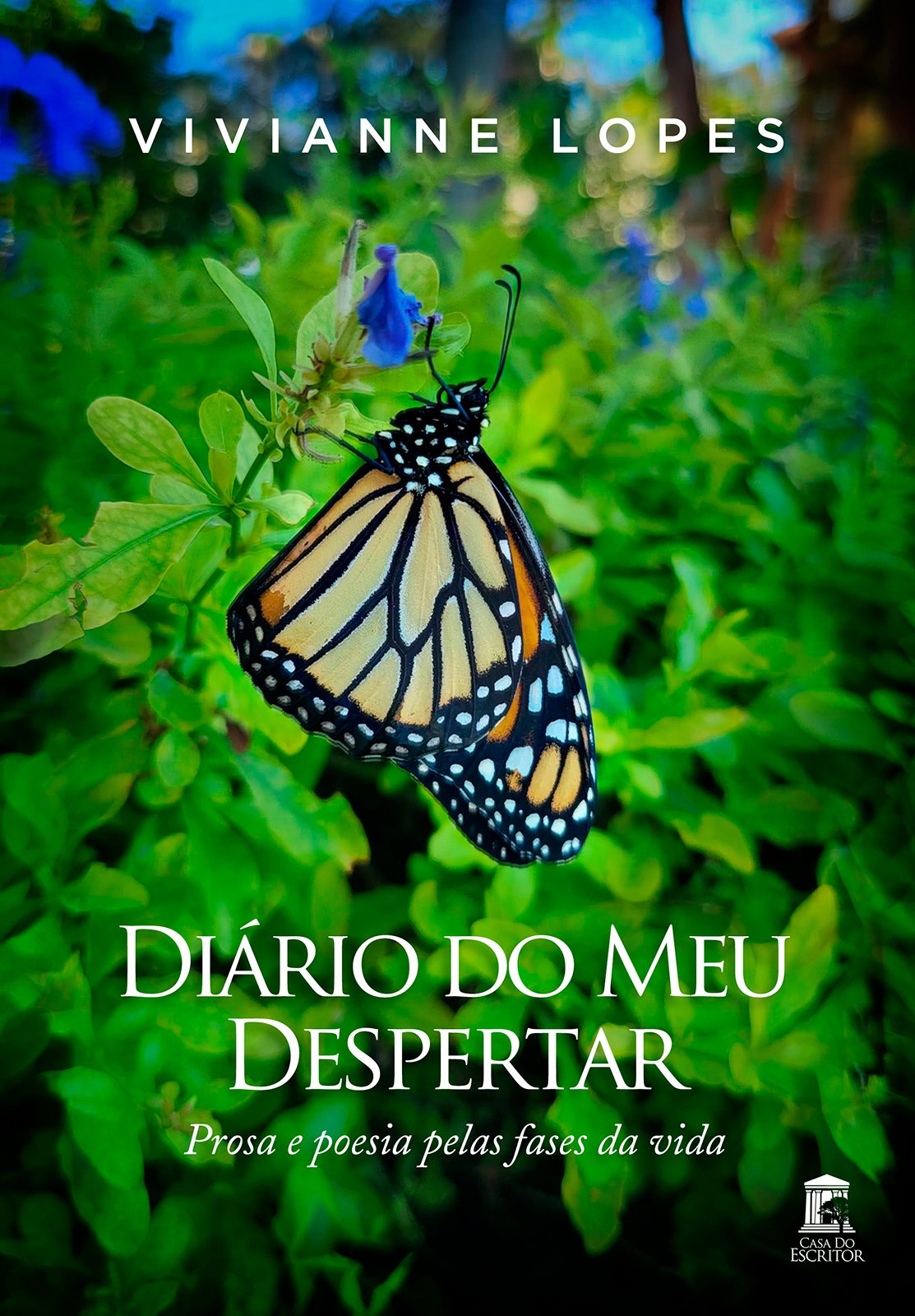 Diário do meu Despertar: Prosa e poesia pelas fases da vida - Vivianne Lopes